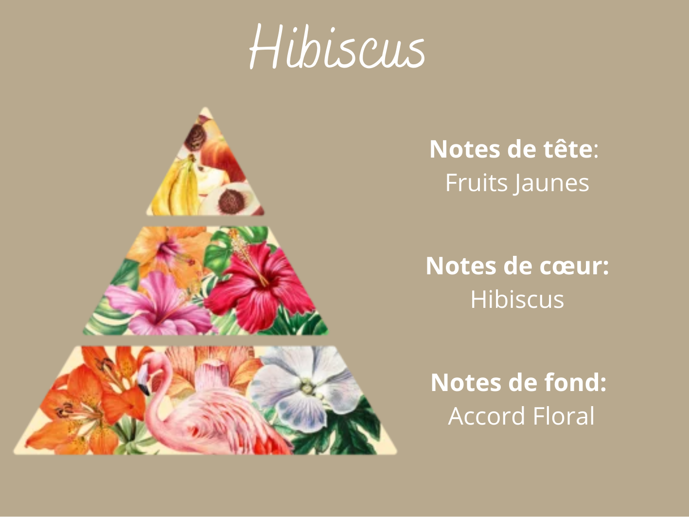 Bougie Parfumée 35g